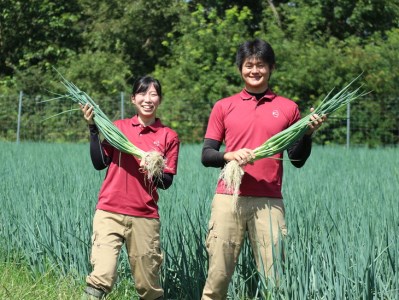 ＜こと京都＞きざみ 九条ねぎ【冷凍・カップ】1.2kg （50g×24p) 《京都 伝統野菜 ネギ 使い切り 小分け ミニ 紙カップ》 ※離島への配送不可