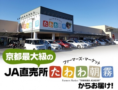 令和6年産 京都丹波産コシヒカリ 精米 定期便 5kg 6回 JA京都たわわ朝霧 米 白米 新米 お米 丹波産米