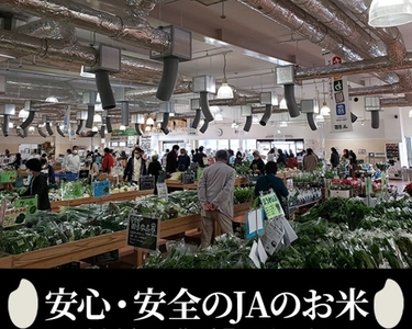 令和6年産 京都丹波産コシヒカリ 精米 定期便 5kg 6回 JA京都たわわ朝霧 米 白米 新米 お米 丹波産米