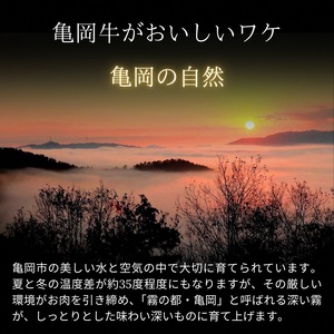 「亀岡牛」肩ローススライス・モモ焼肉セット1500ｇ ☆祝！亀岡牛 2023年最優秀賞（農林水産大臣賞）受賞　≪京都 丹波 冷蔵便 牛肉 送料無料 黒毛和牛 国産牛肉 京都府産牛肉≫※北海道・沖縄・離島への配送不可