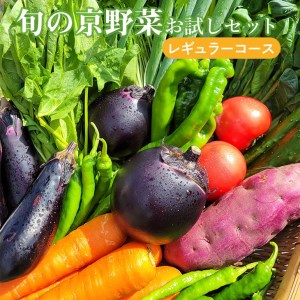 旬の京野菜 お試しセット(レギュラーコース)京都産ハバネロを使用した「京はばねろ篠ソース」付き ≪京野菜 ソース 春 夏 秋 冬 味覚 旬≫※沖縄・離島・諸島へのお届け不可