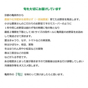 亀岡産 九条ねぎ ＆ 野菜詰め合わせ 有機野菜・京野菜の『京都や