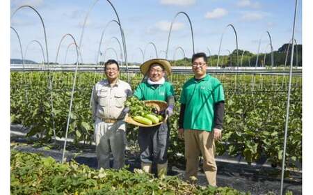 漬物 京つけもの もり 冬の特撰京つけもの 6種 京野菜漬物 亀岡漬物 野菜漬物 京漬物 漬物