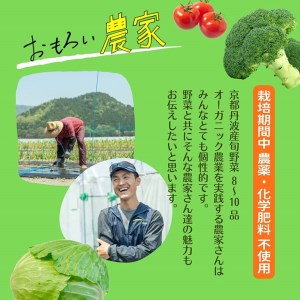 野菜 8回定期便 369商店 京都丹波産旬の野菜セットデラックス 野菜セット 野菜詰め合わせ 旬野菜 新鮮野菜