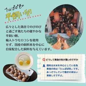 【8回定期便】＜369商店＞京都丹波産旬の野菜セットデラックス！平飼い卵10個、季節の果物又は加工品 ※栽培期間中農薬・化学肥料不使用※