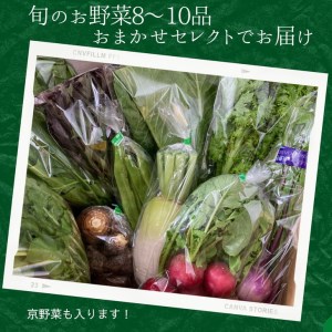 野菜詰め合わせ めぐる農園 野菜