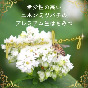 はちみつ 日本みつばち百花蜜 130g はちみつ