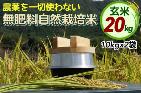 自然栽培米 にこまる ＜農薬を一切使わない無肥料栽培＞ 玄米 20kg