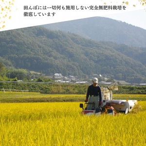 自然栽培米 にこまる 玄米 定期便 3kg×3回