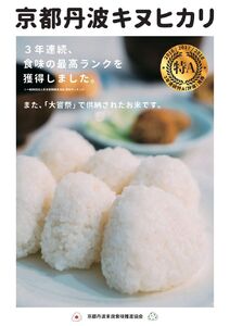 令和6年産 京都丹波産キヌヒカリ 精米 定期便 5kg 3回 JA京都たわわ朝霧 米 白米 新米 お米 丹波産米