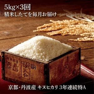 令和6年産 京都丹波産キヌヒカリ 精米 定期便 5kg 3回 JA京都たわわ朝霧 米 白米 新米 お米 丹波産米