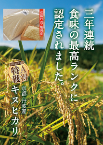 令和6年産 京都丹波産キヌヒカリ 精米 定期便 5kg 3回 JA京都たわわ朝霧 米 白米 新米 お米 丹波産米