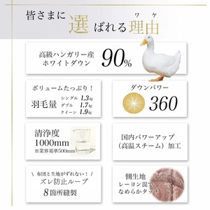 【ピンク】軽くて暖か 京都金桝 羽毛布団 本掛け シングル ハンガリーホワイトダウン90％ DP360 日本製 京都亀岡産 ｜ 冬用 掛け布団 掛布団 ｜ アクア 羽毛布団 職人仕立て羽毛布団 日本製羽毛布団 国産羽毛布団 国内製造羽毛布団 国内産羽毛布団 京都府亀岡産羽毛布団 亀岡市産羽毛布団 京都亀岡産羽毛布団 丹波産羽毛布団 京都府産羽毛布団 京都羽毛布団 亀岡羽毛布団 寝具羽毛布団 羽毛布団 ふるさと納税羽毛布団 掛け羽毛布団 掛布団羽毛布団 シングル羽毛布団 羽毛布団 ふかふか羽毛布団 人気羽毛布団 あったか羽毛布団 ふとん 掛布団羽毛布団 シングル羽毛布団 ふとん 羽毛布団 ふとん ふかふか羽毛布団 人気羽毛布団 ふとん あったか羽毛布団 ふとん 掛布団羽毛布団 シングル羽毛布団 ふとん 羽毛布団 ふとん ふかふか羽毛布団 人気羽毛布団 ふとん あったか羽毛布団 ふとん 掛布団羽毛布団 シングル羽毛布団 ふとん 羽毛布団 ふとん ふかふか羽毛布団 人気羽毛布団 ふとん あったか羽毛布団 ふとん 掛布団羽毛布団 シングル羽毛布団 ふとん 羽毛布団 ふとん ふかふか羽毛布団 人気羽毛布団 ふとん あったか羽毛布団 ふとん 掛布団羽毛布団 シングル羽毛布団 ふとん 羽毛布団 ふとん ふかふか羽毛布団 人気羽毛布団 ふとん あったか羽毛布団≫