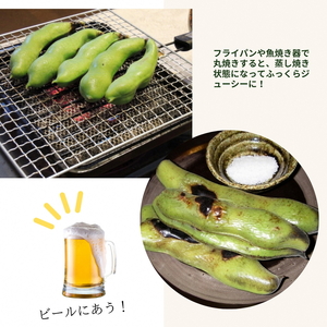 甘～い そら豆 4kg かたもとオーガニックファーム