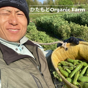 甘～いそら豆 2kg かたもとオーガニックファーム 野菜 京野菜