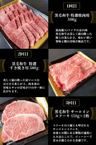 訳あり牛肉 人気部位 3回定期便 ひら山  牛肉 