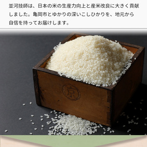 【最短7営業日発送】コシヒカリ 5kg 米 米 米 米 米 米