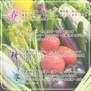 旬野菜 7～10品 コシヒカリ2kg 6回定期便 野菜 米 定期便 米