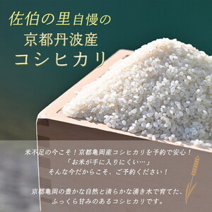旬野菜 7～10品 コシヒカリ2kg 6回定期便 野菜 米 定期便 米