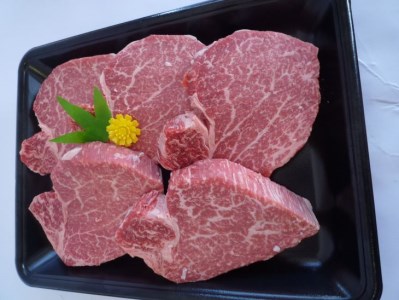 ヒレステーキ 100gx5枚 ひら山 ステーキ