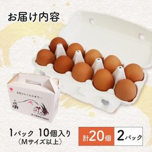 京たまご 茶乃月 20個_卵・乳製品 卵  たまご タマゴ 玉子_【配送不可地域：離島】【1520750】
