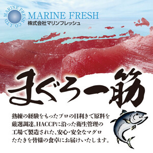 本鮪入まぐろたたき100g×10パック_魚介・海産物   _【配送不可地域：離島】【1521131】