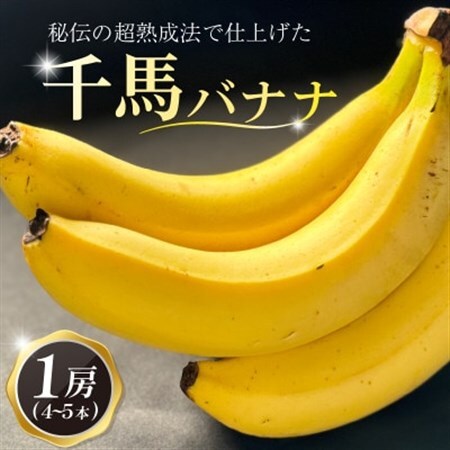 超熟成法仕立て 千馬バナナ 1房 4～5本入り_果物・フルーツ   くだもの_【1567242】