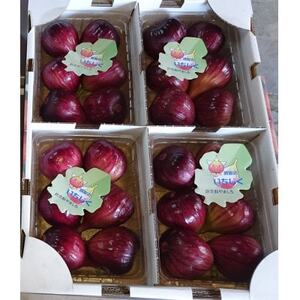 京都府城陽市のいちじく(ドーフィン) 400g×4パック 栄養が豊富な体に嬉しいフルーツ【配送不可地域：離島・北海道・沖縄県・東北】【1635816】