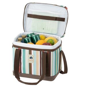 氷点下パック抗菌・デザインクーラーM 買い物やアウトドアでも使えるクーラーバッグ! 81670715【1664419】