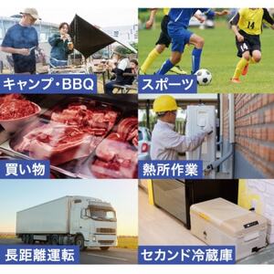野電　エレキャン・冷凍冷蔵庫 16(‐20℃/20℃)アウトドアやBBQで役立つ!　74175097【1687934】