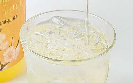 PREMIUM 梅ジュース_飲料・ドリンク  ジュース _【1258583】