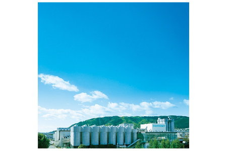 《6ヶ月定期便》〈天然水のビール工場〉京都直送 ザ・プレミアム・モルツ500ml×24本 全6回 [1525]