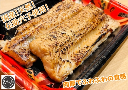 国産天然伝助穴子の煮穴子炙り(およそ6人前)｜国産 天然 伝助穴子 煮穴子 炙り [1441]