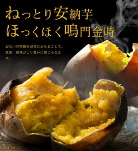 【累計7万斤完売！】 デニッシュ2本セット (安納芋/プレーン)各1斤 2025年9月?翌3月発送 食パン