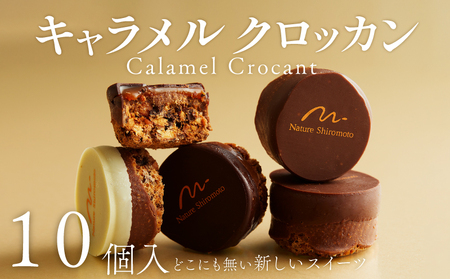 【 チョコレート 】 チョコレートコーティング仕上げ キャラメルクロッカン 10個入 焼き菓子 洋菓子 ギフト