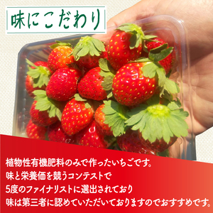 植物系有機肥料のいちご 瑠璃の宝箱 計500g(250g×2P) 《2026年2月-5月発送》 先行受付 【いちご】