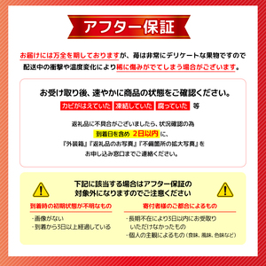 植物系有機肥料のいちご 瑠璃の宝箱 計500g(250g×2P) 《2026年2月-5月発送》 先行受付 【いちご】