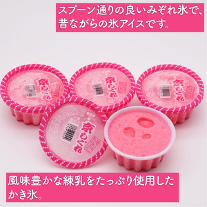 昔ながらのかき氷 京しぐれ 赤 12個入り 京都 八幡市 氷菓 アイス 【かき氷】