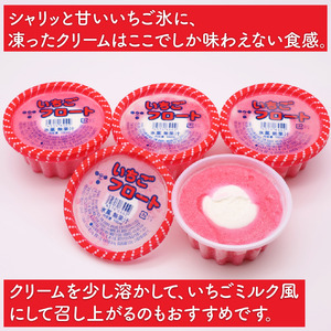 昔ながらのかき氷 京しぐれ いちごフロート 15個入り 京都 八幡市 氷菓 アイス 【かき氷】