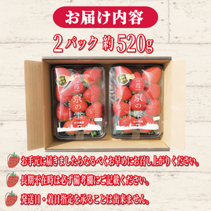 いちご 京の雫 約520g 12月-5月発送 いちご