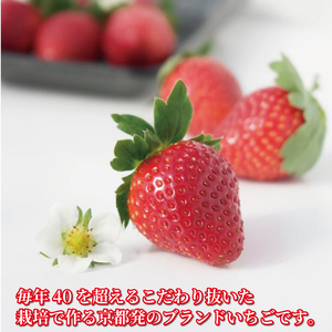 いちご 京の雫 約900g 12月-5月発送 いちご
