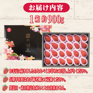 いちご 京の雫 約900g 12月-5月発送 いちご
