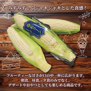 先行予約 白いとうもろこし 彩コーン 約4kg 10本 《2026年6月-7月発送》 ホワイトコーン 【とうもろこし】