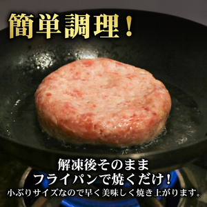 お弁当サイズのハンバーグ 約80g×5個 卵と牛乳不使用 国産 お弁当