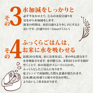 【新米】ヒノヒカリ 5kg 令和7年産 新米 京都府八幡市