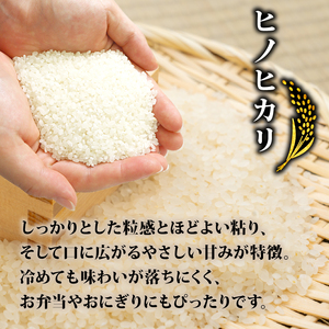 【新米】ヒノヒカリ 10kg 令和7年産 新米 京都府八幡市