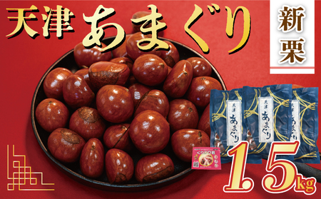 【 甘栗 】 新栗 京都八幡の天津甘栗 1.5kg 新栗 殻付き 栗爪付き おやつ おつまみ