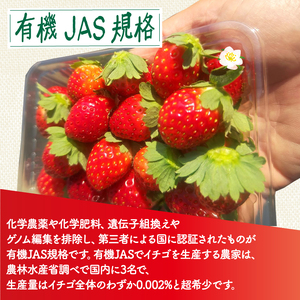 植物系有機肥料のいちご 瑠璃の宝箱 訳あり 計1.2kg(300g×4P)《2026年2月-5月発送》 先行受付 【いちご】