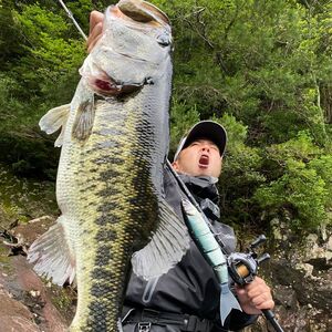 BALAM245 #19 バラム レーザーアユ〈マドネス、ビックベイト、スイムベイト、ジャイアントベイト、釣り、バス釣り、ルアー、釣り具、スポーツ〉 雑貨 日用品 