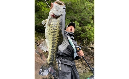 BALAM VARIANT255 #14 バラムヴァリアンテ オンドリャーチャート〈マドネス、ビックベイト、スイムベイト、ジャイアントベイト、釣り、バス釣り、ルアー、釣り具、スポーツ〉 